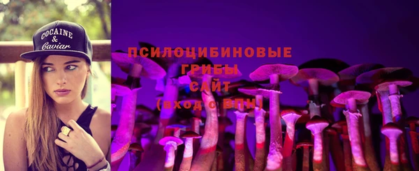 таблы Слюдянка
