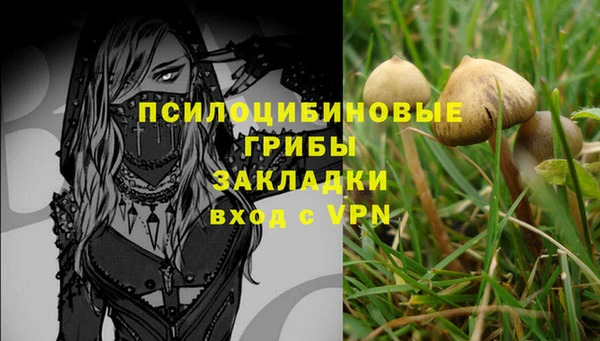 jwh Снежногорск