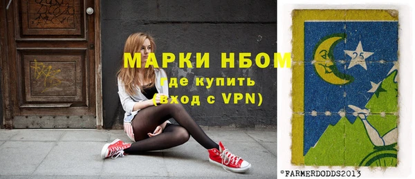 гашик Снежинск