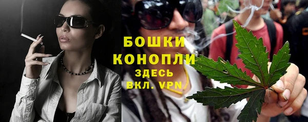гашик Киселёвск