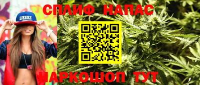 МДПВ Ярославль