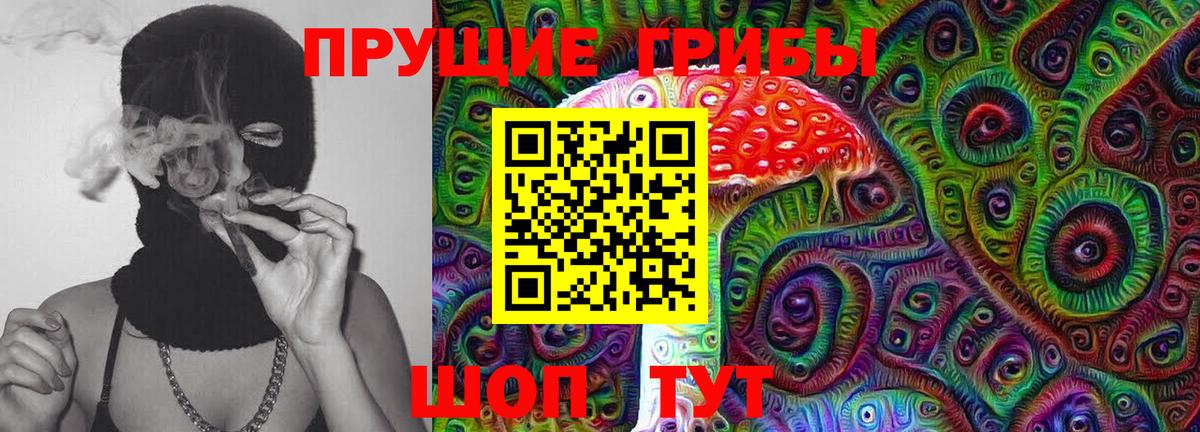 Темрюк  Галлюциногенные грибы прущие грибы  купить наркотик  Псилоцибиновые грибы MAGIC MUSHROOMS  Вход с VPN 
